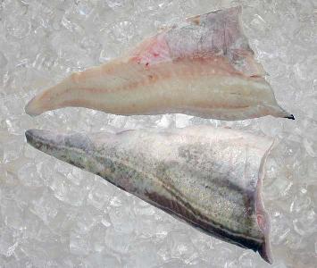 Cod Fish Fillet 