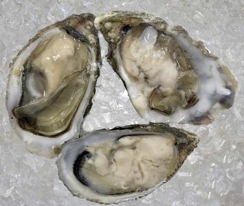 Harty Oyster