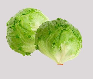 lettuce iceberg price