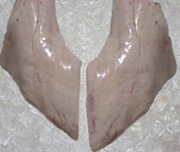 Monkfish - Liver