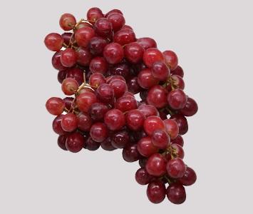 Red Glope Grape