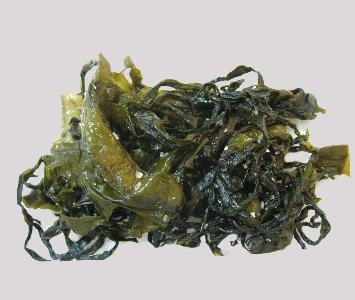 Seaweed - Wakame