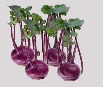 Turnip with Leaves