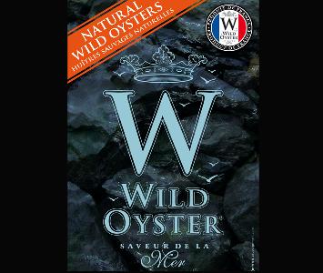 Wild Oyster